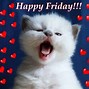 Image result for Happy Friday Kitten Meme