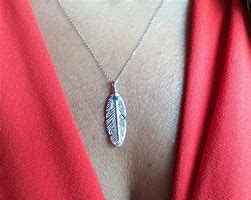 Image result for Small Gold Feather Necklace