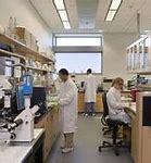 Image result for Biomedical Engineering Lab