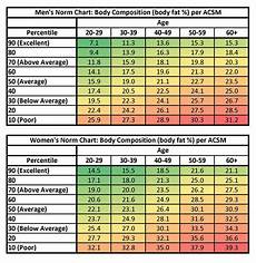 Percentile Ranked Body Fat Percentages By Age Group