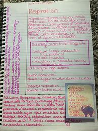 Image result for 6th Grade Science Notes