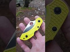 Image result for Spyderco Self-Defense Knife