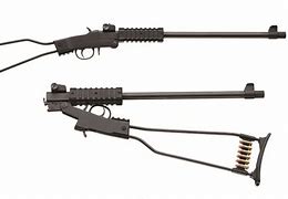 Image result for Small Servival Guns for the Woods