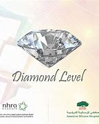 Image result for NHRA Bahrain Diamond Logo