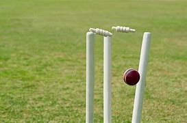 Image result for Cricket Ball Hitting Wicket