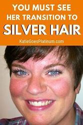 Image result for Black Hair with Silver Underneath