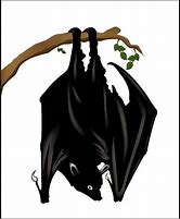 Image result for Upside Down Bat Art