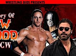 Image result for WCW New Blood