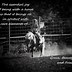 Image result for Horse Quotes and Sayings for Girls