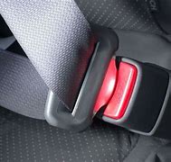 Image result for Short Seat Belt