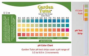 Image result for Ph Color Chart for Test Strip