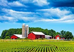 Image result for Community in Local Area Agriculture