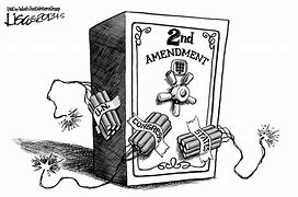 Image result for 2nd Amendment Cartoon Mug