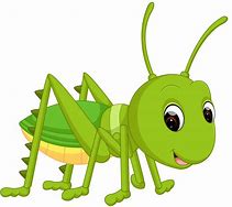 Image result for cricket insect cartoon