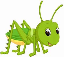 Image result for Green Cricket Animal