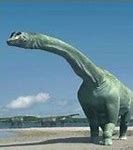 Image result for The Biggest Dinosaur in the World Fact