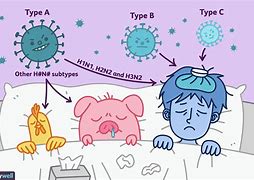 Image result for Types of Flu Viruses