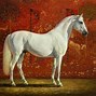 Image result for Girly Horse Racing Art