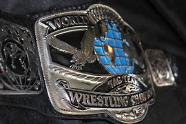 Image result for Personalized Wrestling Belts