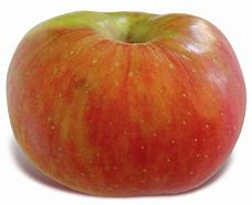 Image result for Bramley's Seedling Apple