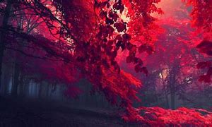 Image result for pastels red anime backgrounds