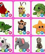 Image result for NFR Dream Pets