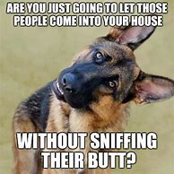 Image result for German Shepherd Dog Memes