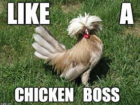 Image result for Cute Chicken Memes