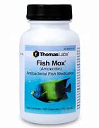 Image result for Fish Mox 250 Mg Amoxicillin