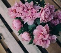 Image result for Pink Peonies Wallpaper