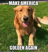 Image result for The Golden Countr Meme