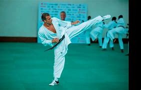 Image result for Karate Sensei Kick