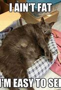 Image result for Fat Cat CEOs Meme