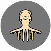 Image result for Octopus Icon