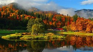 Image result for Magical Autumn