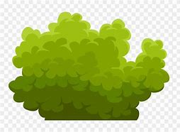 Image result for Green Bush Clip Art