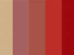 Image result for Red Plus Brown