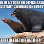Image result for Gee Thanks Seal Meme
