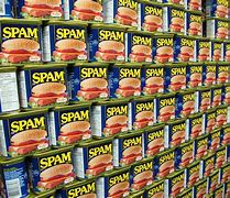 Image result for Spam Meat