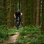 Image result for Orbea Occam M10