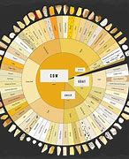 Image result for Cheeses of Poland Chart