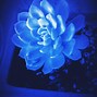 Image result for Desktop Dark Blue Aesthetic
