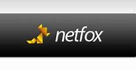 Image result for netfox.ru/faq/domains/