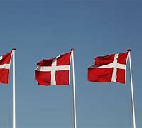 Image result for Red Flag with Circle and Cross