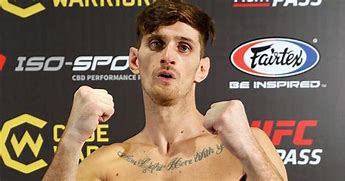 Image result for British UFC Fighters