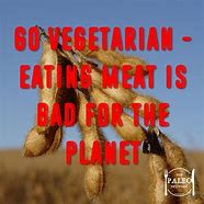 Image result for Vegetarian Save Planet