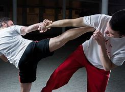 Image result for List of Popular Martial Arts