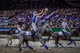 Image result for Horse Ball Stal Greet Minne