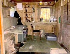 Image result for MNT Man Finds Boysin Woods Cabin