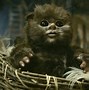 Image result for Cute Ewok Star Wars